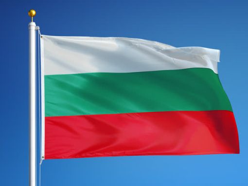 Added Russian and Bulgarian to EOBD2 software.